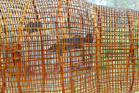 Wagirra Trail And Yindyamarra Sculpture Walk - Accommodation Sunshine Coast 2