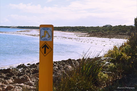 Walk The Yorke Trail - Accommodation Sunshine Coast 2