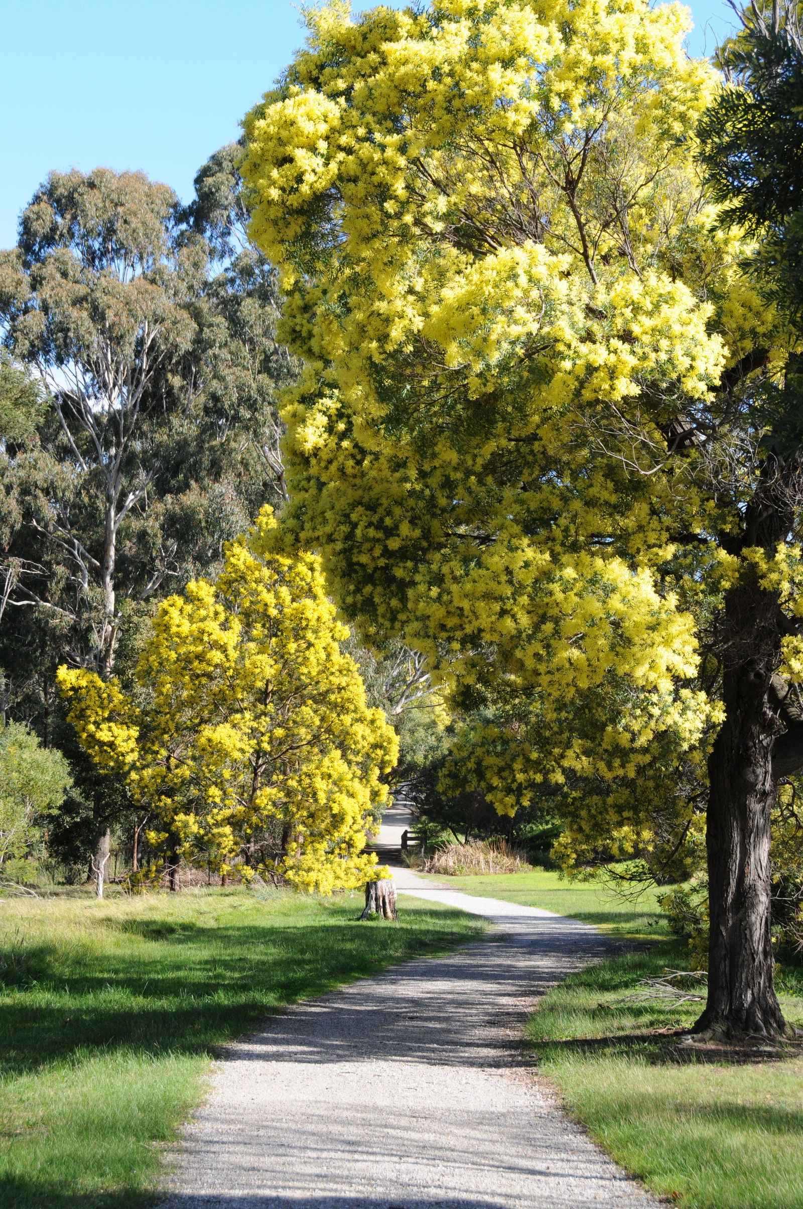 Burwood East VIC Accommodation Sunshine Coast