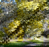 Wattle Park - Accommodation Sunshine Coast