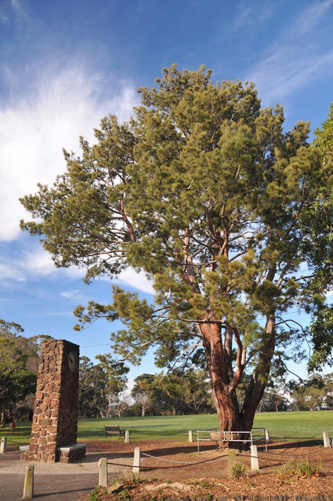 Wattle Park - Accommodation Sunshine Coast 2