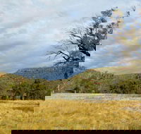 Weddin Mountains National Park - Accommodation Sunshine Coast