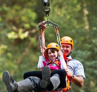 Zipline at Illawarra Fly - Accommodation Sunshine Coast