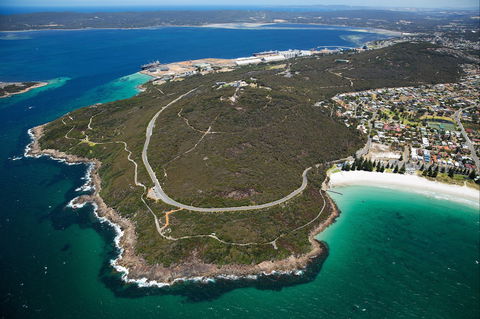 Avenue Of Honour - Accommodation Sunshine Coast 0