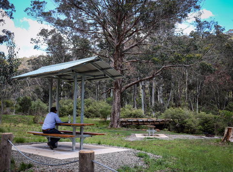 Barrington Tops State Forest - Accommodation Sunshine Coast 0