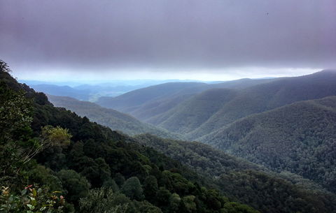 Barrington Tops State Forest - Accommodation Sunshine Coast 2