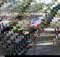 Bidgee Riverside Trail  - Hay Nature Walk - Accommodation Sunshine Coast