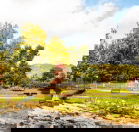 Bright - Accommodation Sunshine Coast