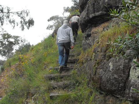 Bundidgerry Walking Track - Accommodation Sunshine Coast 0