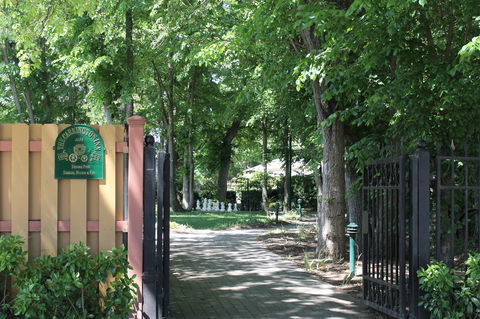 Bungendore Heritage Walk - Accommodation Sunshine Coast 0