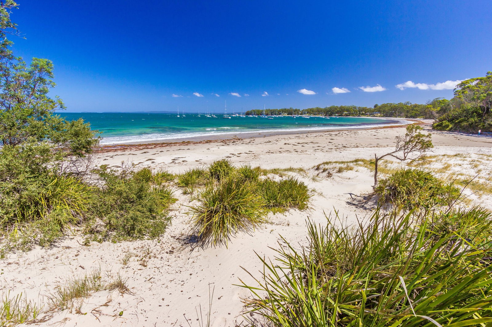 Callala Bay NSW Accommodation Sunshine Coast