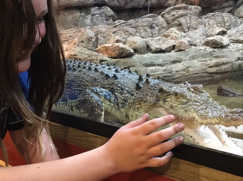 Canberra Reptile Zoo - Accommodation Sunshine Coast 0