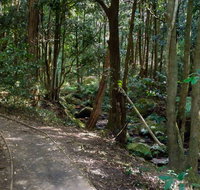 Cascades Walk - Accommodation Sunshine Coast