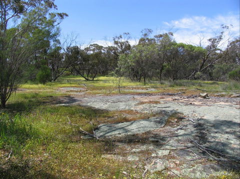 Christmas Rock Walk - Accommodation Sunshine Coast 0