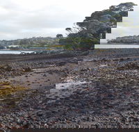 Churchill Island Marine National Park - Accommodation Sunshine Coast