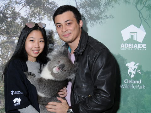 Cleland Wildlife Park - Koala Hold - Accommodation Sunshine Coast 0