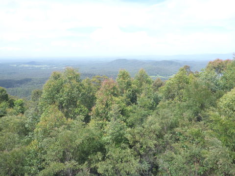 Collombatti Lookout - Accommodation Sunshine Coast 0