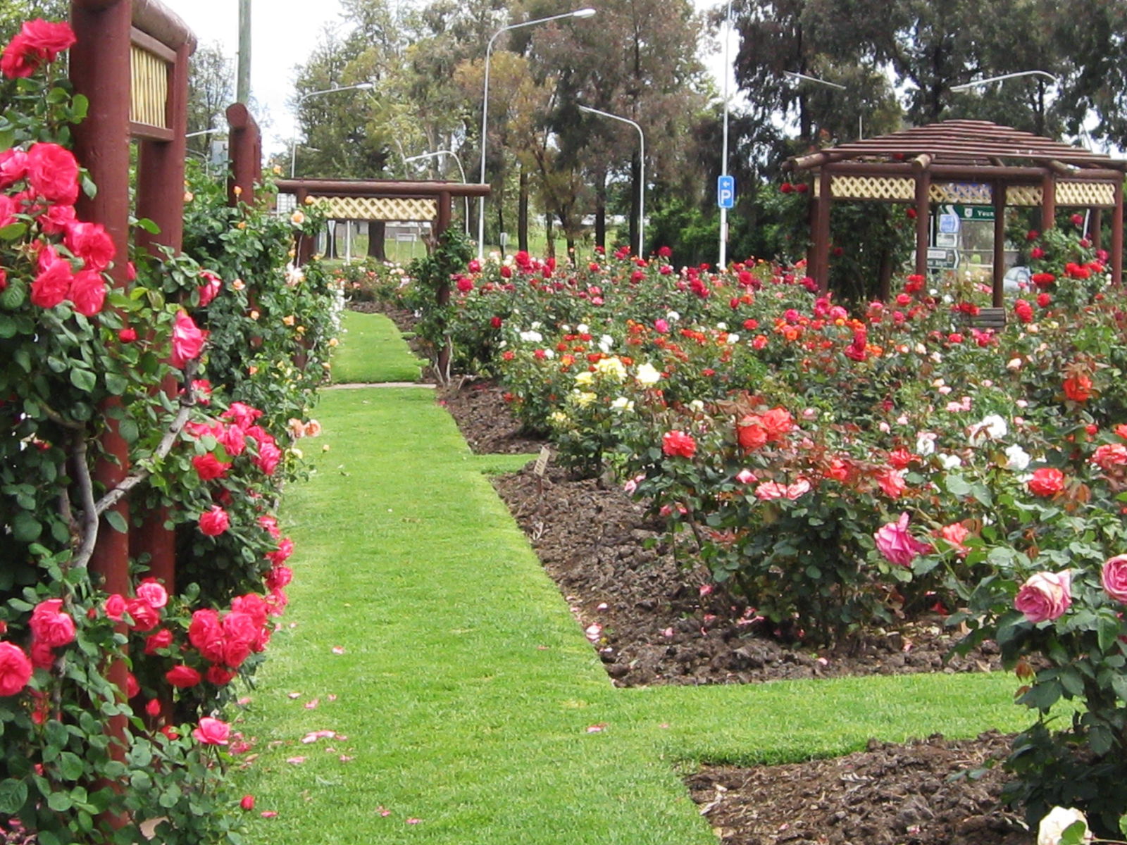 Mount Collins NSW Accommodation Sunshine Coast