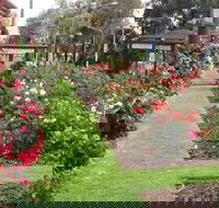 Cowra Rose Garden - Accommodation Sunshine Coast