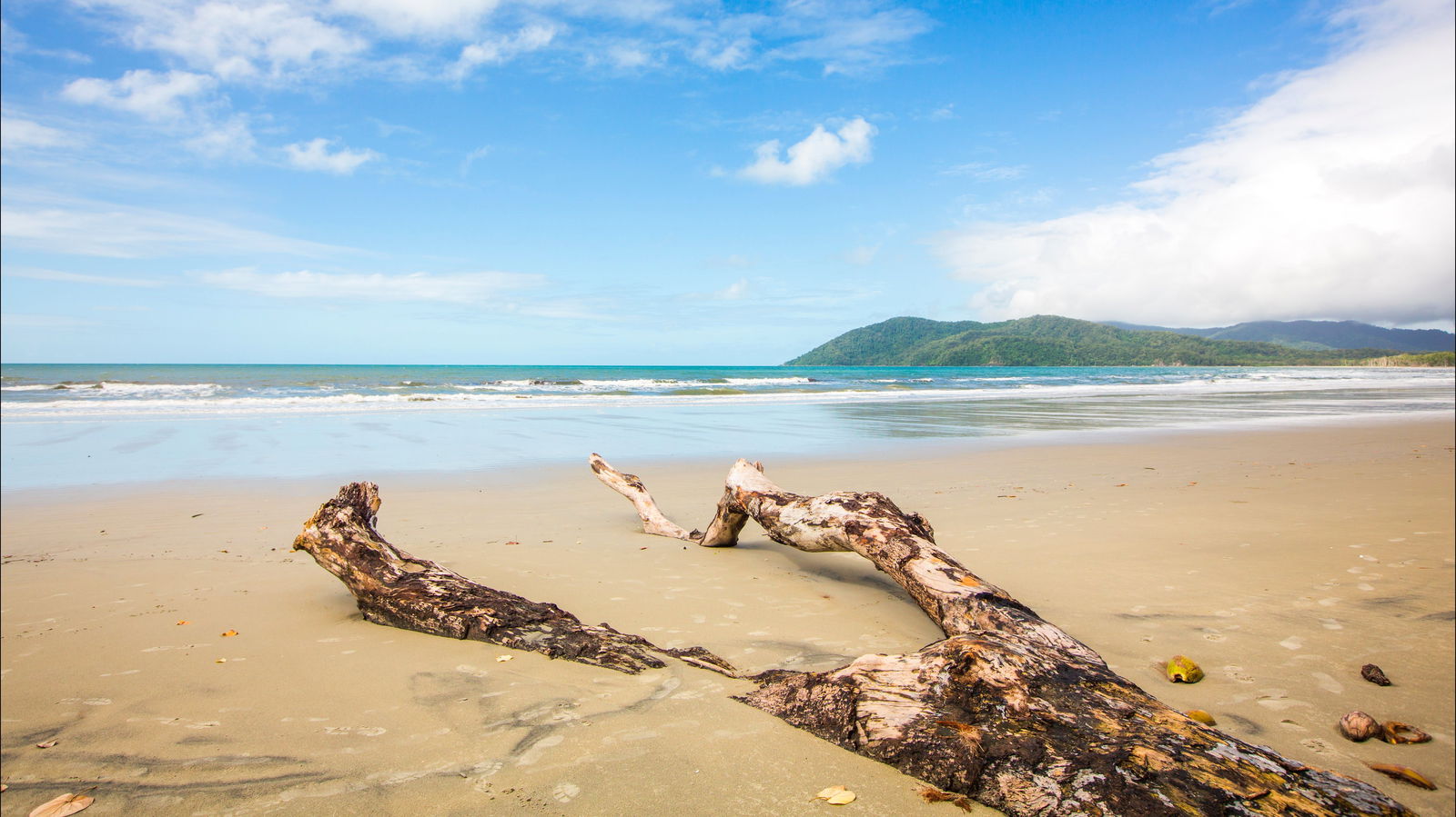 Cow Bay QLD Accommodation Sunshine Coast
