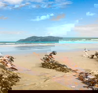 Cow Bay - Accommodation Sunshine Coast
