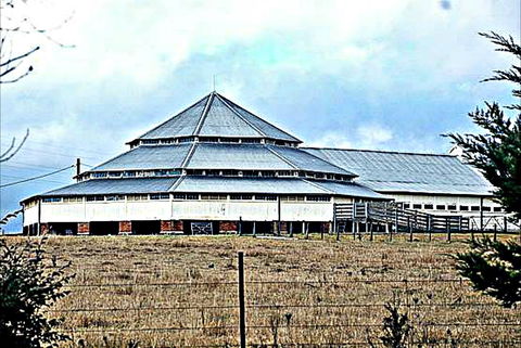 Deeargee Woolshed - Accommodation Sunshine Coast 0
