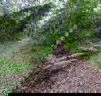 Double Wharf Trail - Accommodation Sunshine Coast