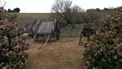 Early Settlers Hut - Accommodation Sunshine Coast 2