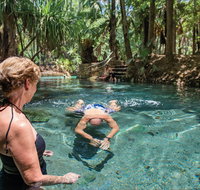 Elsey National Park - Accommodation Sunshine Coast