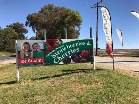 Fairfield Orchard - Accommodation Sunshine Coast 0
