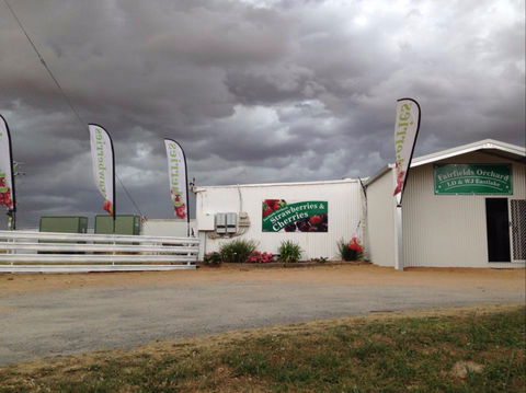 Fairfield Orchard - Accommodation Sunshine Coast 2