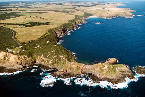 Fingal Beach Walk - Accommodation Sunshine Coast 0