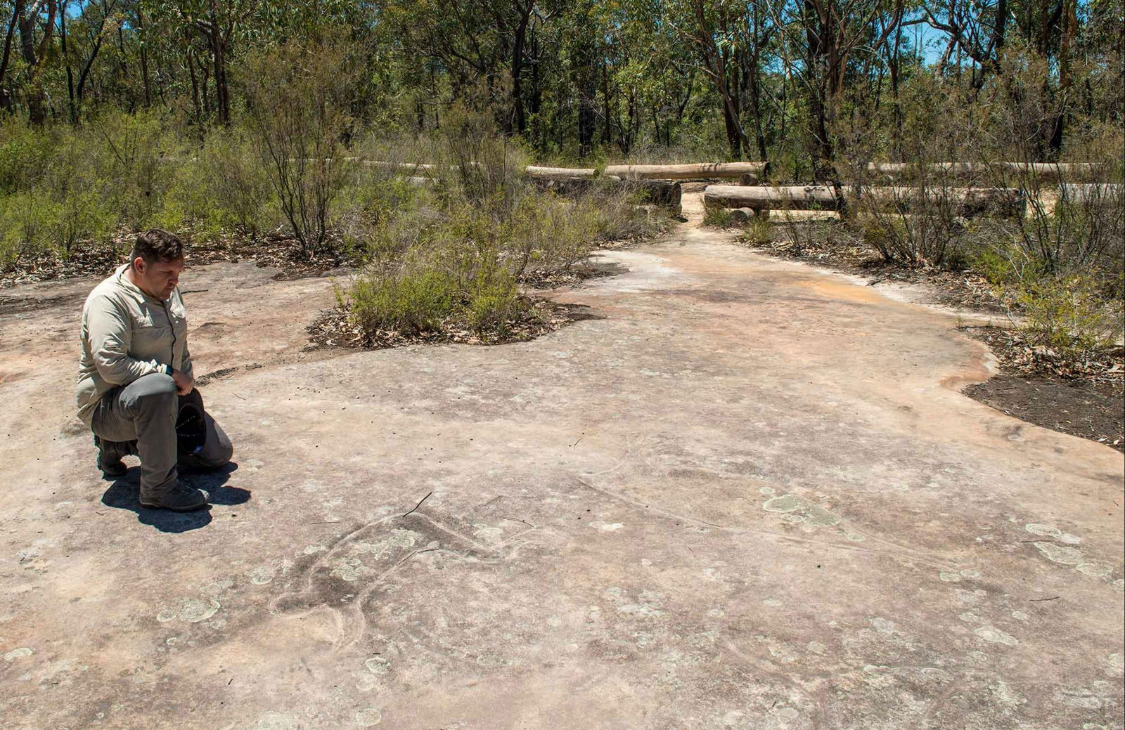 Big Yengo NSW Accommodation Sunshine Coast