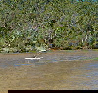 Fitzpatrick Park - Accommodation Sunshine Coast