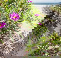 Fort Bribie - Accommodation Sunshine Coast