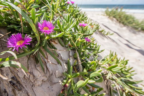 Fort Bribie - Accommodation Sunshine Coast 0