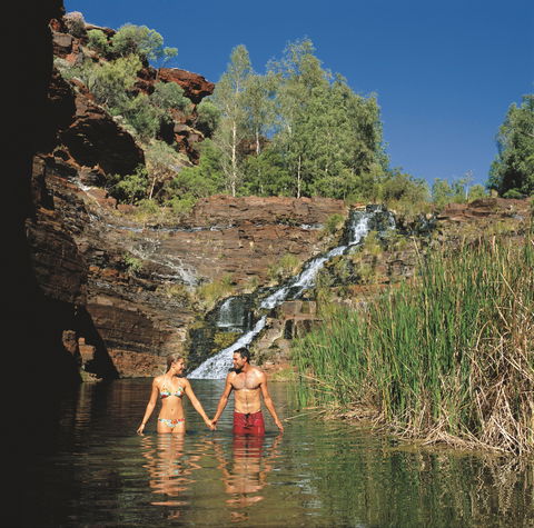 Fortescue Falls - Accommodation Sunshine Coast 0