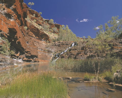 Fortescue Falls - Accommodation Sunshine Coast 1