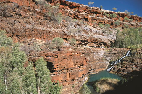 Fortescue Falls - Accommodation Sunshine Coast 2