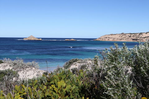 Fowlers Bay Conservation Park - Accommodation Sunshine Coast 0