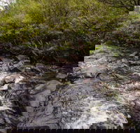 Gloucester River walking track - Accommodation Sunshine Coast