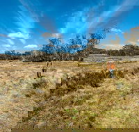 Goldseekers track - Accommodation Sunshine Coast