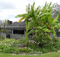 Gold Coast Historical Museum Inc - Accommodation Sunshine Coast