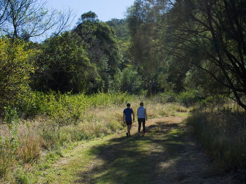 Goolman Lookout Via Rocky Knoll Lookout Trail - Accommodation Sunshine Coast 2