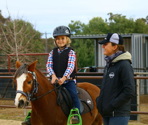 Horse Riding Lessons And Trail Rides - Accommodation Sunshine Coast 0