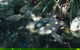Howard Springs Nature Park - thumb 0