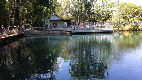 Howard Springs Nature Park - Accommodation Sunshine Coast 1