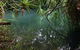 Howard Springs Nature Park - thumb 2