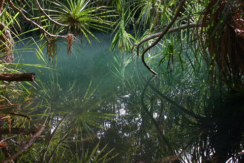 Howard Springs Nature Park - Accommodation Sunshine Coast 2