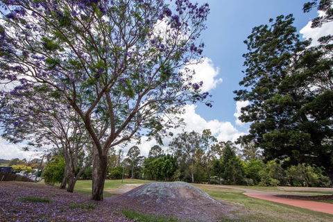 John Scott Park - Accommodation Sunshine Coast 0